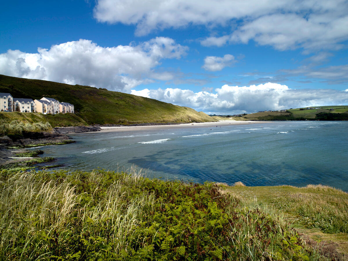 A sweeping view of Inchydoney Beach in West Cork, where pale sand curves between grassy headlands beneath a bright, cloud-dappled sky.